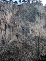 die Blechmauernverschneidung, Foto vom 25.03.10