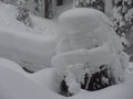 viel Neuschnee