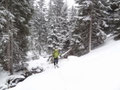 entlang eines Baches unterhalb der Klarampfhütte