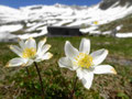vor dem Winterraum der Gießener Hütte