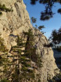 Blick zum Fredsteig