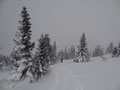 Anstieg zum Buchbergkogel