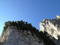 9. Seillänge, mitten durch die Latschen