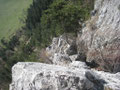Blick zur Platte mit geschlagenen Tritten (3)