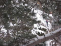 am Kammerlingsteig (versichert)