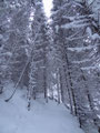unterhalb des Karl-Lechner-Hauses