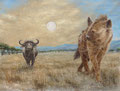 Serengeti, 2021, 0 (49x64), Farbstift + Aquarell / Aquarellpapier