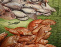 Fischschwarm, 2009, 48x62cm