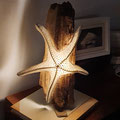 lampada stella di mare "A STAR IS BORN", tela di canapa antica dipinta a mano. legni di mare, impianto elettrico certificato.
