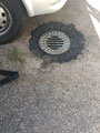 Gulli reparieren