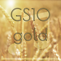 GS10 gold mp3