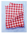 Red Gingham - 20x25cm - oilpaint on canvas - 2023 - Available