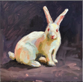 Rabbit - Oil on canvas - 40x40cm - 2019 - Available