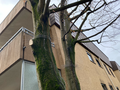 Tier vom Haus fernhalten