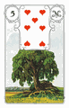 Der Baum