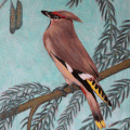 Calendarbird