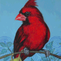 Coverbird