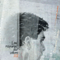 Les rayures du zèbre-2006