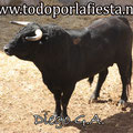Nº 22 Lidiado en 4º lugar por Pablo Hermoso de Mendoza.