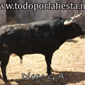 Nº 82 2º Sobrero de Luis Algarra.