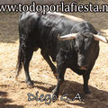 Nº22 Lidiado en 5º lugar por Juan Mora.