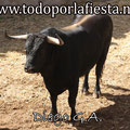 Nº 108 1º Sobrero de Luis Algarra.