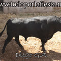 Nº 34 Lidiado en 1º lugar por Pablo Hermoso de Mendoza