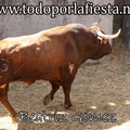 Nº 52 Lidiado por Miguel Ángel Perera