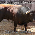 Nº 17 Lidiado por Sebastián Castella