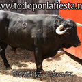 Nª 36 Lidiado por Sebastián Castella