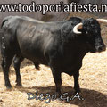 Nº 24 1º Sobrero de Los Espartales.