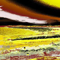 Landschaft am Ammersee V, Fotografik 2015