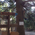 Wegweiser