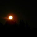 Sehr, sehr großer Mond (aber leider als er aufgegangen ist, aber ich hatte natürlich meine Kamera nicht dabei :/ Aber auch so war er echt schön!)