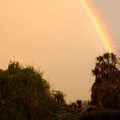 Und ein wunderschöner Regenbogen vor meinem Fenster!