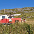 Most of the old cars are rusting in one place, beeing slowly eaten away by the rust.