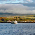 Leaving Bere Island at six in the morning