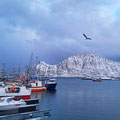 The next morning, everything was white...