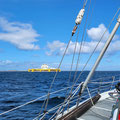 Quieter sailing on the leeward side of the thousends of small islands - soon arriving on the remote archipelago of Halten, where we found amazing bird live...