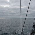 Heading into a calm day - motrosailing again for 30 hours