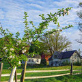 Very pleasant and warm spring days..