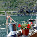 Arrived at "Flores"