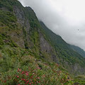 The north coast of Madeira