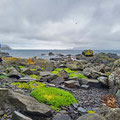 Walking to the east coast of Havøysund and looking for...