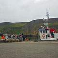 The ferry "Good Sheperd" bringing around 150 sheeps to the market in Shetland