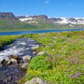 Mountain creeks, but the artic char didn't arrive yet