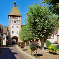 Quiet and lovely places in the Alsace of France