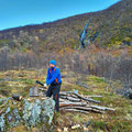 ...to cut the trees, which where hit by an avalanche last winter, and made...