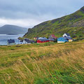 Last afternoon walk around Havøysund, before the weather finally gets better.