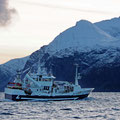 One of hundreds fishing vessels looking for the herrings.